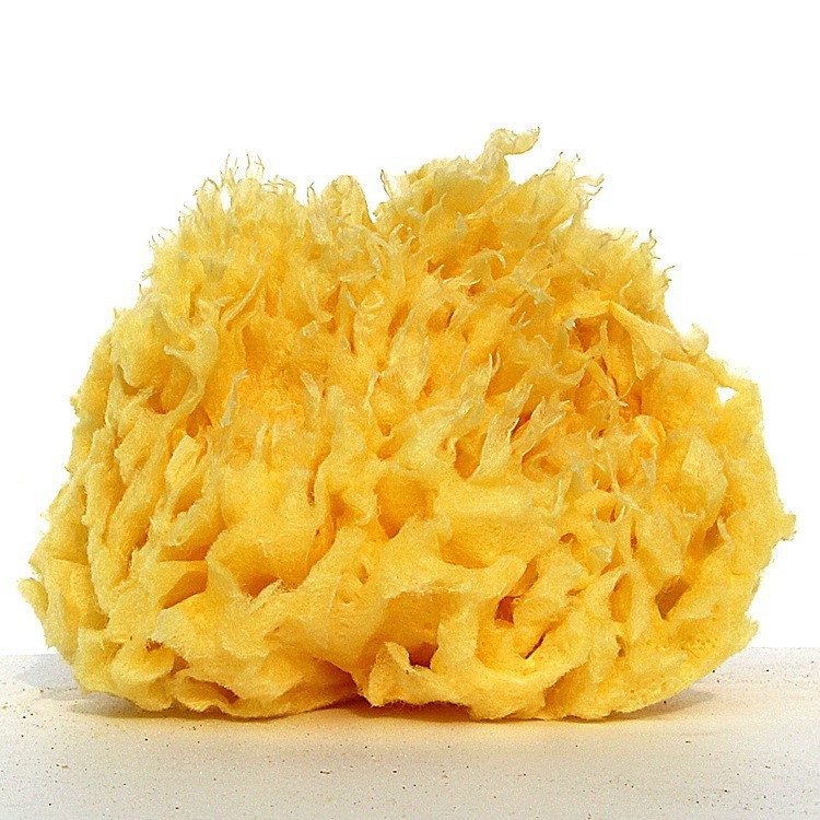 Grækenland naturlig svamp